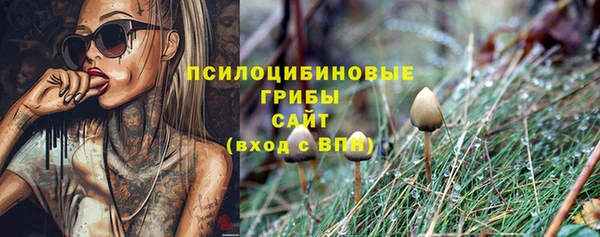спиды Козельск