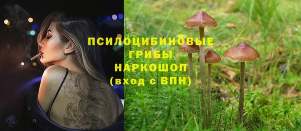 бутират Костерёво