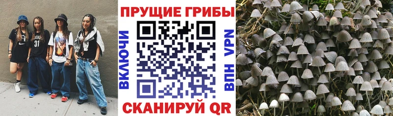 Псилоцибиновые грибы ЛСД  Нижние Серги 